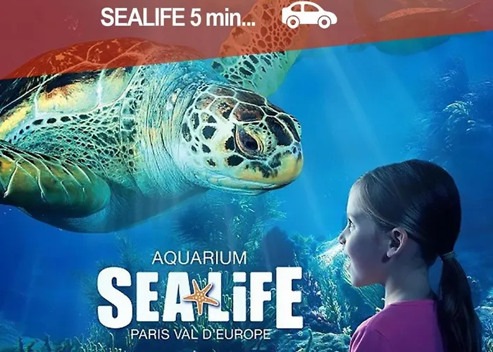 Immodely & La Magie De * Serris